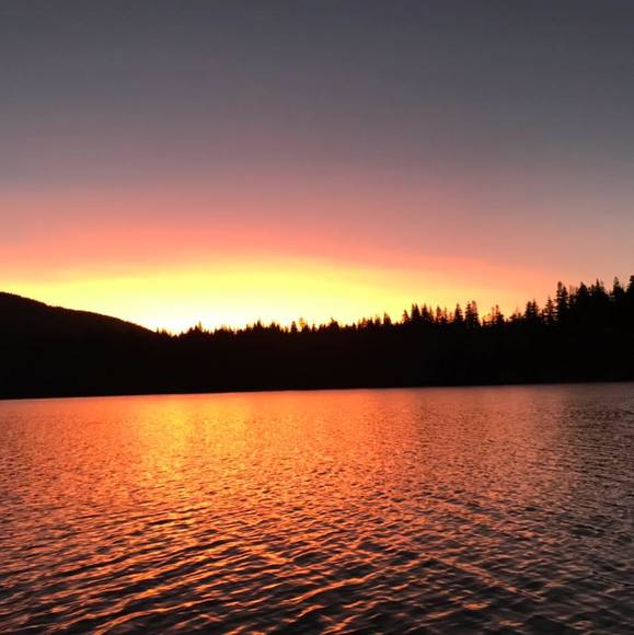 Meet your Posher, Traci - Picture 1 of 1